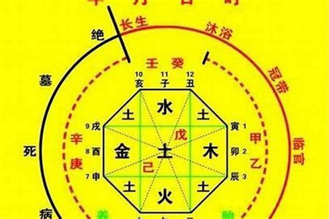 十神 八字|八字算命基礎——十神詳解